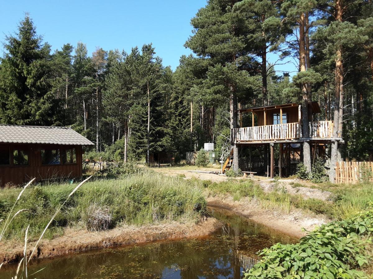 Elulõng Camping Lohusuu Exterior foto