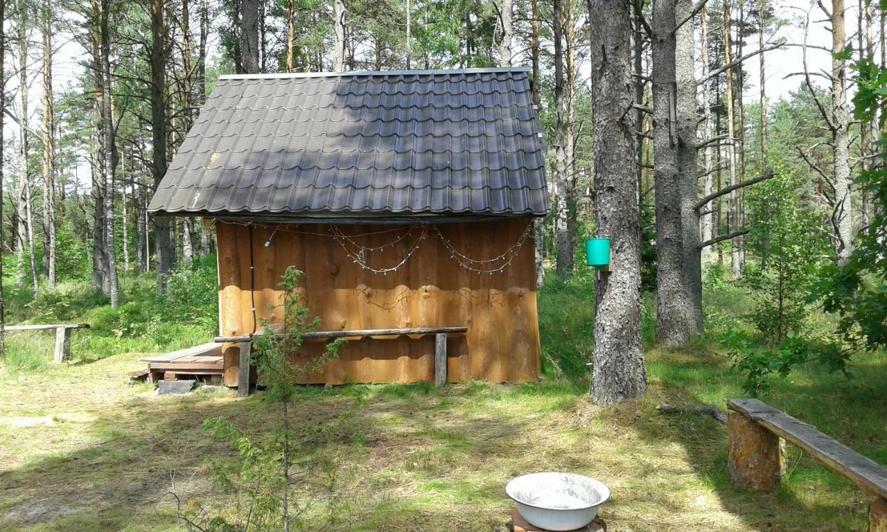 Elulõng Camping Lohusuu Exterior foto